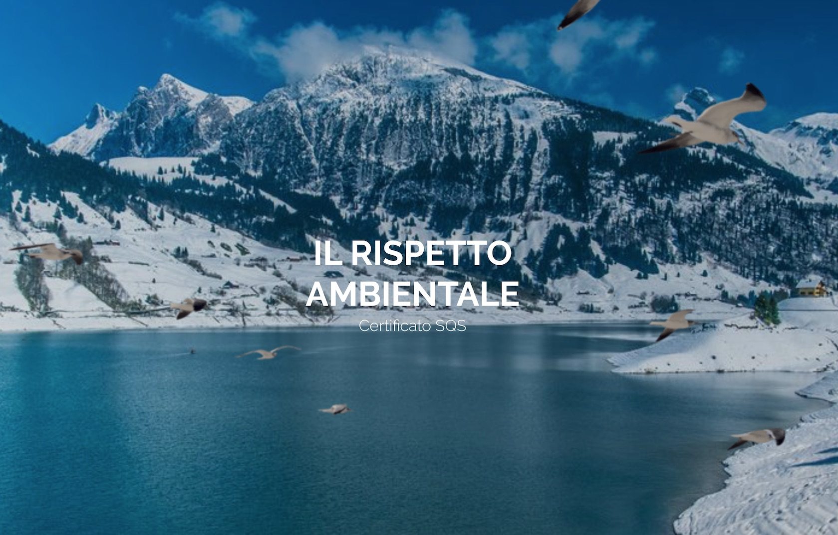 qualità e certificazione ISO 9001 e 14001 qualità e certificazione ISO 9001 e 14001